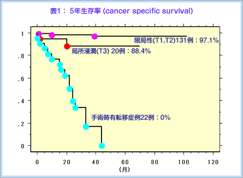 ステージ２の腎臓がんの生存率