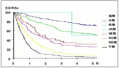 ステージ４の肺がんの5年生存率